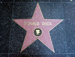 Donald Duckin kivi Hollywoodin Walk of Famessa. Donald Duckin nimi kirjoitettu kullankeltaisin kirjaimin punertavan tähden sisään. Tähti on viisisakarainen ja sen keskellä musta symboli, joka muistuttaa vanhanaikaista elokuvakameraa.