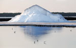 Suuri jäävuori tyynellä meren pinnalla kellumassa. Jäävuoren huippu on pyramidinmuotoinen. Vuoren vierustalla olevilla vesialueilla on paljon pieniä lintuja. Vedessä heijastuu vuoren profiili.