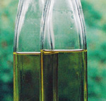 Valokuva kahdesta läpinäkyvästä lasista valetusta pullosta, joiden sisällä on yhtä paljon kellertävää risiiniöljyä. Risiiniöljy näyttää tahmealta ja samealta.