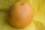 Valokuva keltaisesta taustakankaasta, jonka päällä möllöttää kellertävä greippihedelmä. Greipin pinta muistuttaa klementiinin tai appelsiinin kuorta. Greipin väritys on kokonaan tasaisesti kellertävä.