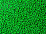 Vihreä tausta, jota vasten suuri läjä kaikennäköisiä vesipisaroita rivi toisensa jälkeen. Vesipisarat ovat eri kokoisia.